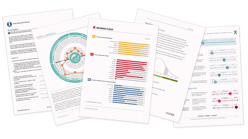 reportes-muestra-lvi-evaluación-360-assessio-matrigma-hrtools-rocket-model-hogan-assessments